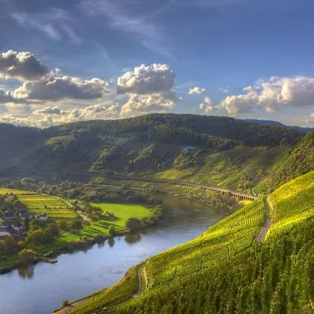 Casa Schneider - Urlaub An Der Mittelmosel エンキルヒ