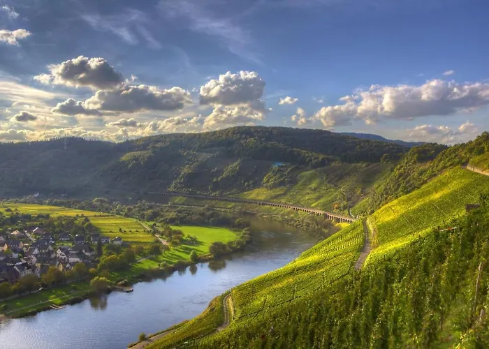 Casa Schneider - Urlaub An Der Mittelmosel Enkirch